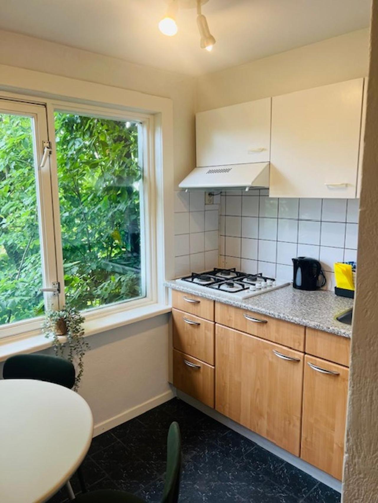 4P Apt With Rooftop Terrace At Piushaven Centrum Тилбург Екстериор снимка